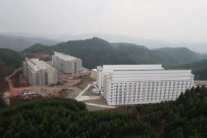 Multi-story hog hotels elevate industrial farms to new levels
