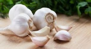 Hooray for Garlic