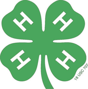 New 4-H program begins Thursday