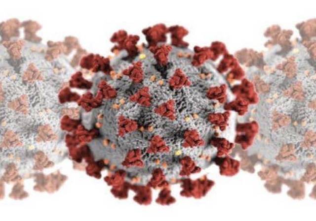 125996921_web1_COVID-19