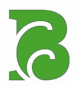 127406018_web1_Bladen-CC-logo-2