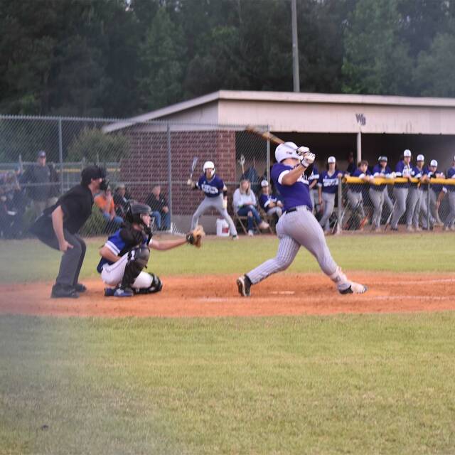 <p>West Bladen Jordan Hester during an at-bat.</p>