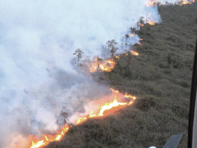 130122552_web1_BLD110723WildfirsAirQuality_cmyk
Smoke from western North Carolina wildfires has triggered airquality alerts in some north carolina counties.
Image courtesy NC Forest Service
