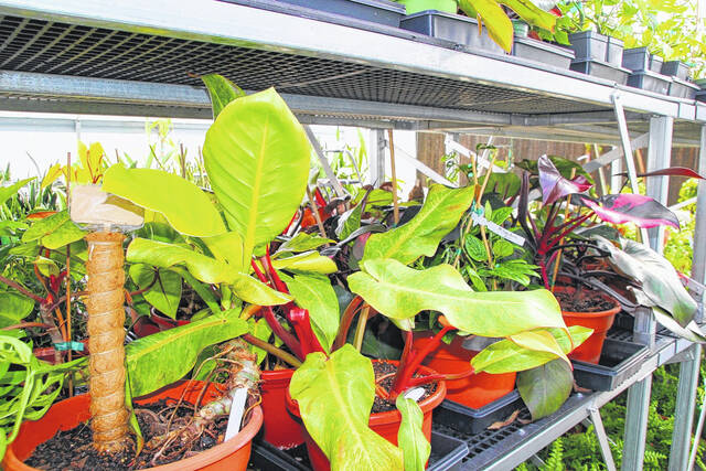 131683404_web1_thumbnail_IMG_7491
Meeting animals from the agriculture program and seeing all that grows in a community college will be just a part of the fun.