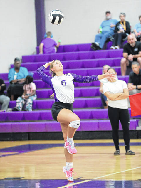 <p>Ken Armstrong / kenarmphoto.com</p>