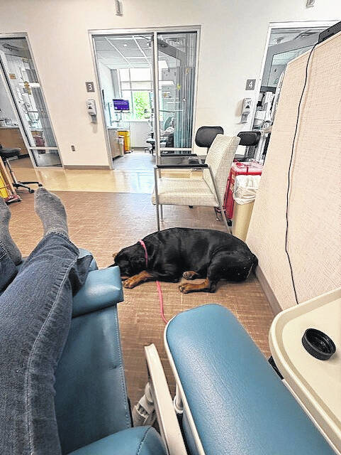 <p>While undergoing chemotherapy one of her dogs, “Hope” often accompanies her and keeps her company while she undergoes the treatment.</p>
<p>Photo Courtesy | Loretta Pyeatt </p>