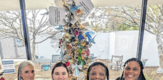 
			
				                                The 2025 Festival of Trees overall winner was the team from the Bladen County Health Department who, among other creative ornaments had blown-up rubber gloves, masks turned into angels and Bladen County Health Department balloons. The winner of the Grinch Christmas Tree raffle was Linda Carey. All the trees were impressive and will be around through Christmas. The Bladen County Public Library will be closed from Dec. 24 - Dec. 28. Kudos to Sheila Nance BCPL director and her staff for fill the season with color, light and excitement.
 
			
		