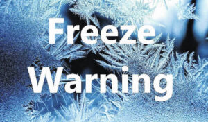 Freeze warning issued for Wednesday morning for Bladen County