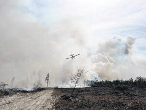 Wildfire burns over 700 acres off Rosindale Road near Council