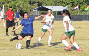 Rebollar, Garcia named to NCSCA 2A all-state soccer team